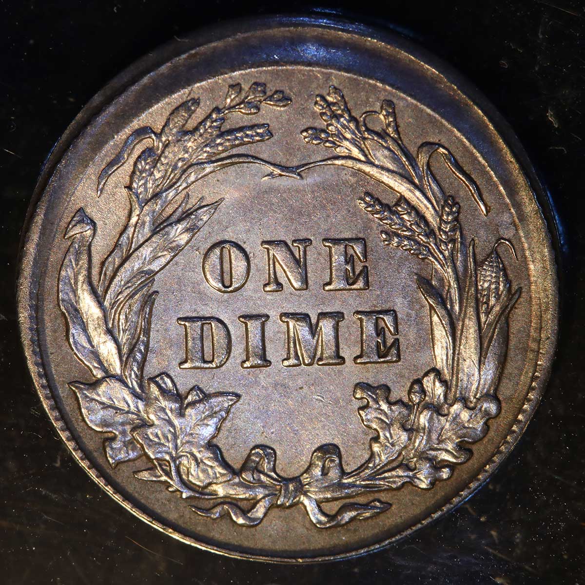 How-Would-You-Grade-This-1902-Error-Dime?